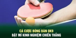 Cá Cược Bóng Bàn OK9 - Bật Mí Kinh Nghiệm Chiến Thắng