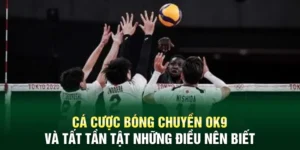 Cá Cược Bóng Chuyền OK9 Và Tất Tần Tật Những Điều Nên Biết