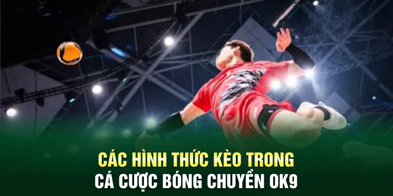 Các hình thức kèo trong cá cược bóng chuyền OK9