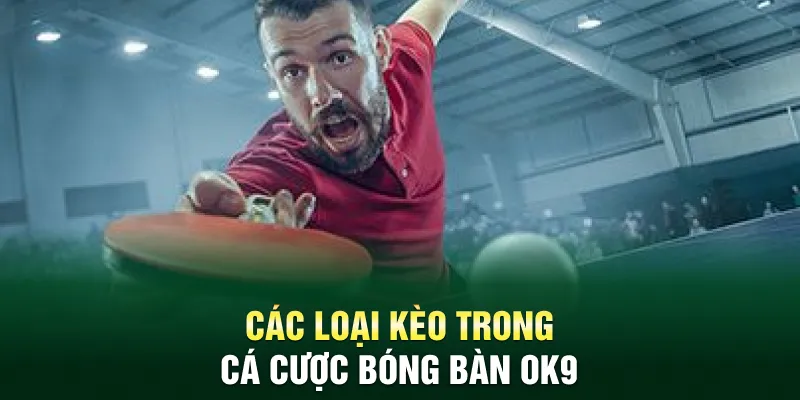 Các loại kèo trong cá cược bóng bàn OK9