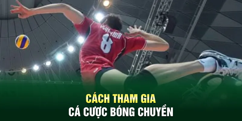 Cách tham gia cá cược bóng chuyền