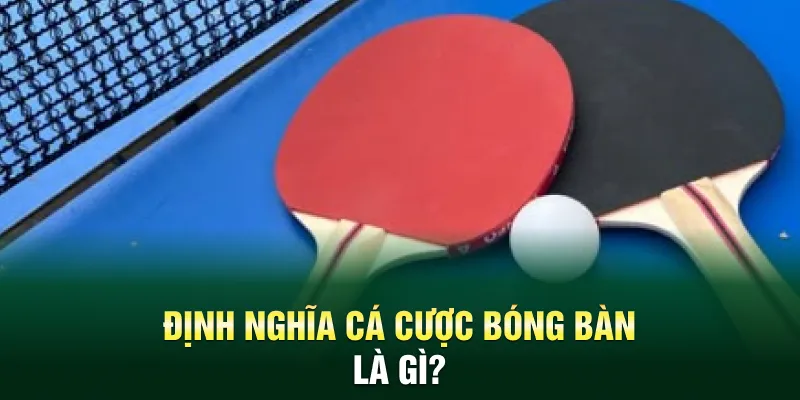 Cá cược bóng bàn OK9 là gì?