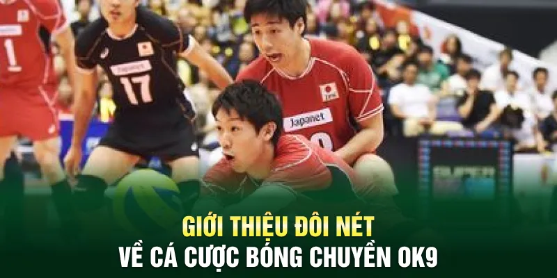 Giới thiệu đôi nét về cá cược bóng chuyền OK9