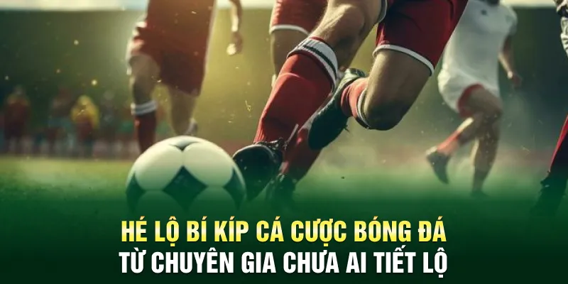 Hé lộ bí kíp cá cược bóng đá từ chuyên gia chưa ai tiết lộ