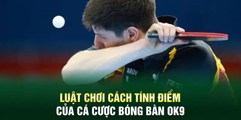 Luật chơi cách tính điểm của cá cược bóng bàn OK9
