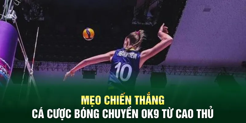Mẹo chiến thắng cá cược bóng chuyền OK9 từ cao thủ