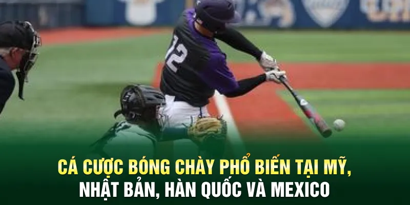 Tổng quan về cá cược bóng chày OK9