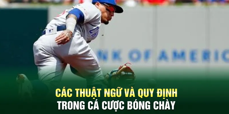 Các thuật ngữ và quy định trong cá cược bóng chày OK9