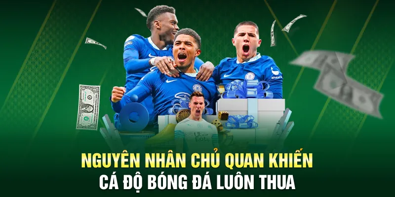 Nguyên nhân chủ quan khiến tại sao cá độ bóng đá luôn thua