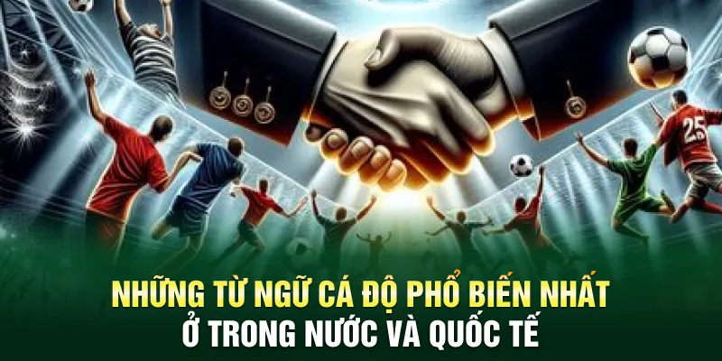 Những từ ngữ cá độ phổ biến nhất ở trong nước và quốc tế