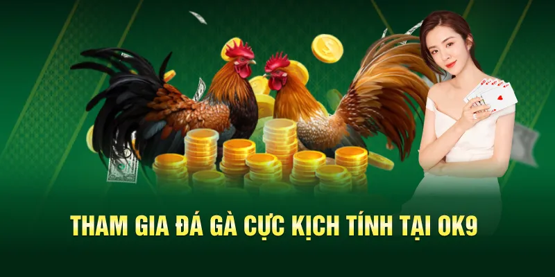Tham gia đá gà cực kịch tính tại OK9