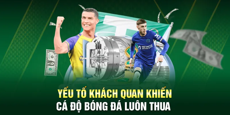 Yếu tố khách quan khiến tại sao cá độ bóng đá luôn thua